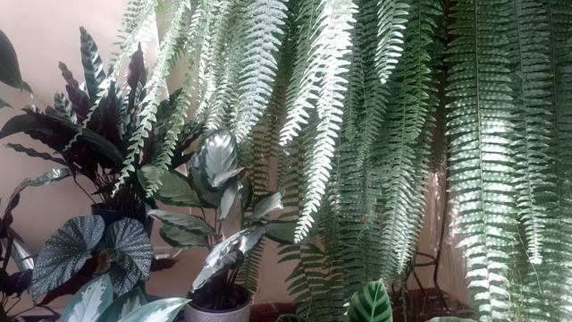 Болталка...ну очень длинная!