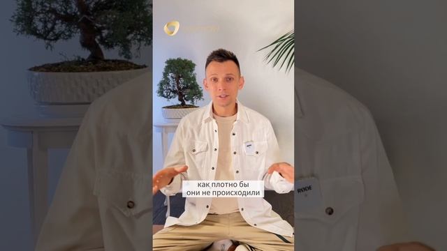 О главном законе управления реальностью смотреть онлайн