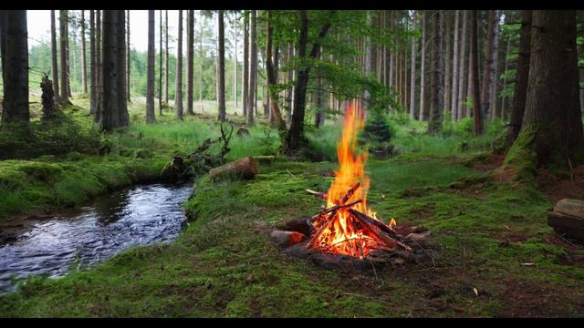 Костер на берегу реки. Релакс. смотреть онлайн