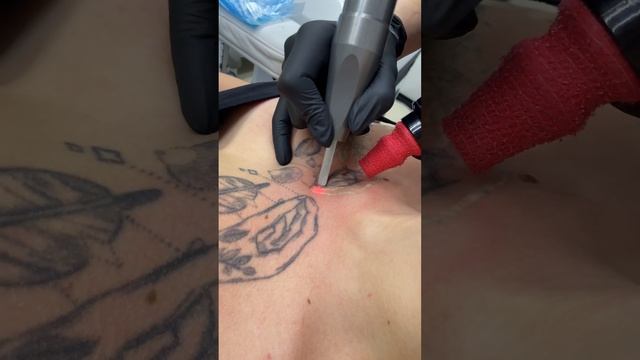 Удаляем на груди девушки, татуировку ✅ #tattoo #удалениетату | студия "Битый Небитого" ПИТЕРБУРГ смотреть онлайн