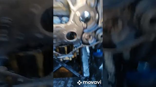 Kleemann ремонт двигателя cat c 4.4 смотреть онлайн