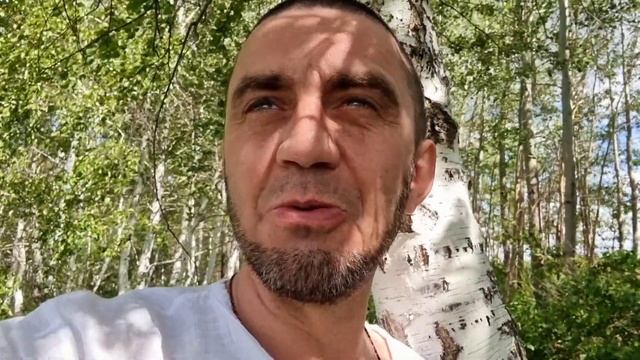 В березовом лесу поэту блажь. смотреть онлайн