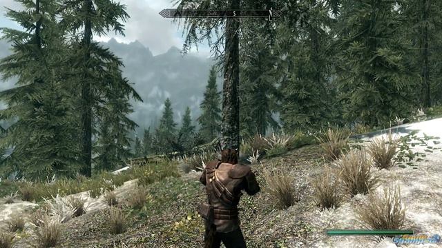 Skyrim Khajiit or Bosmer (Wood Elf) for thief? смотреть онлайн