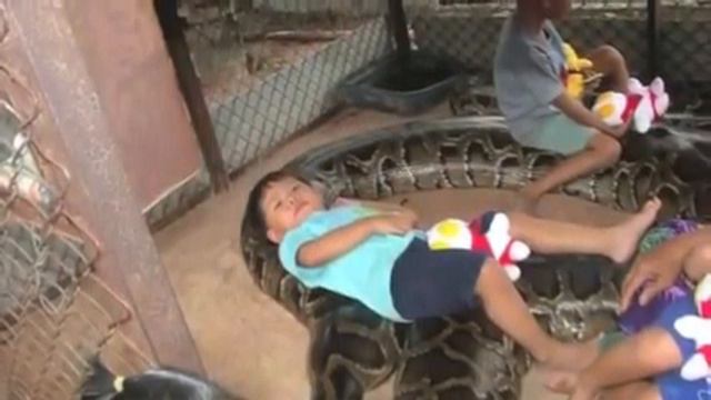 гигантские змеи смотреть онлайн