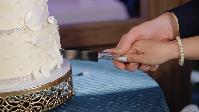 Erika & Mason's Wedding Highlight | Lesnner Inn, Virginia Beach, VA | Wedding Videographer смотреть онлайн