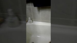 как ухаживать за кокосовой пальмой