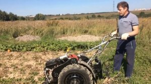 Выкопка картошки самодельным мотоблоком из раздатки от Нивы.