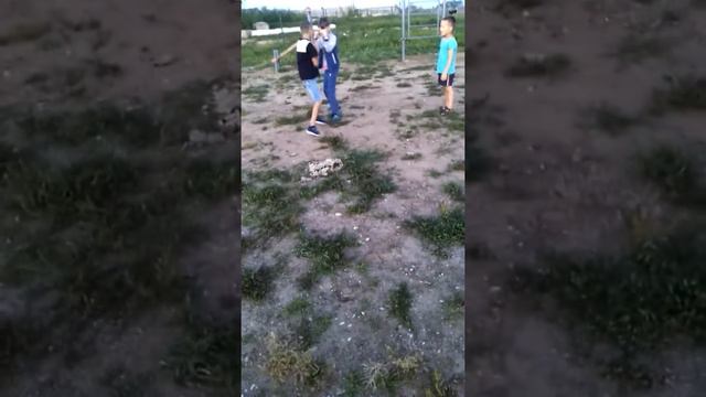 Бой пацанов смотреть онлайн