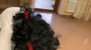 Как стать Момо?