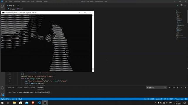 Playing Bad Apple on Command Line | ASCII Art | Python смотреть онлайн