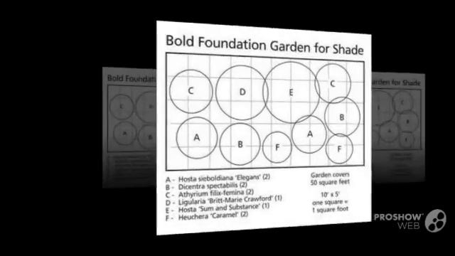 Ligularia - garden plants смотреть онлайн