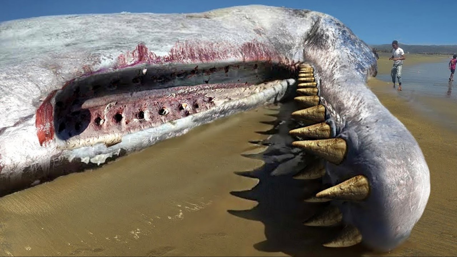 100 Самых Опасных и Пугающих Животных в Мире смотреть онлайн