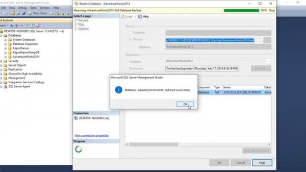 Restore a Database Backup File (.bak) in MS SQL Server Management Studio