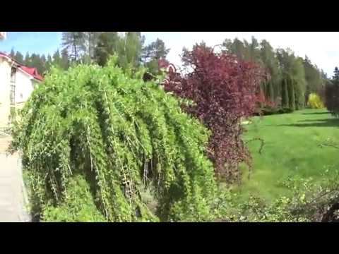 Территория Санатория Озерный Беларусь 2018 смотреть онлайн