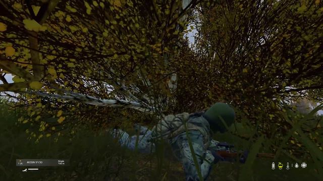 DAYZ-ERAM TRÊS E EU MATEI смотреть онлайн