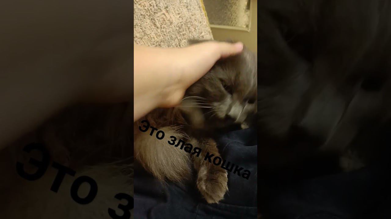 22 сентября 2023 г. смотреть онлайн