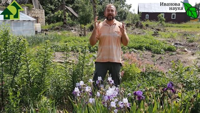 НЕ СПИ ЗА РУЛЁМ! САМЫЙ ЛУЧШИЙ и НАДЕЖНЫЙ СПОСОБ! КАК НЕ СПАТЬ ЗА РУЛЕМ? Метод гидробудильника. смотреть онлайн