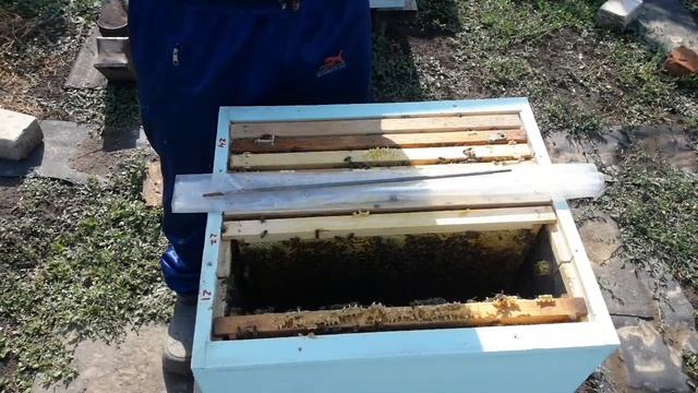 Отводки с общим магазином смотреть онлайн