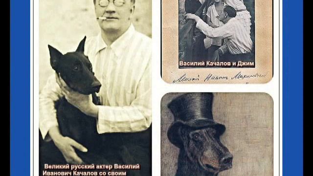 Сергей Есенин "СОБАКЕ КАЧАЛОВА" Читает Владимир Ионченков смотреть онлайн