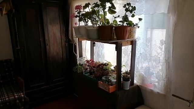 ОБНОВИЛА ПОДОКОННИКИ/ЦВЕТ НАСТРОЕНИЯ ЦВЕТОЧНЫЙ. Переезд на Юг смотреть онлайн