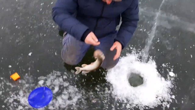 зимняя ловля щуки смотреть онлайн