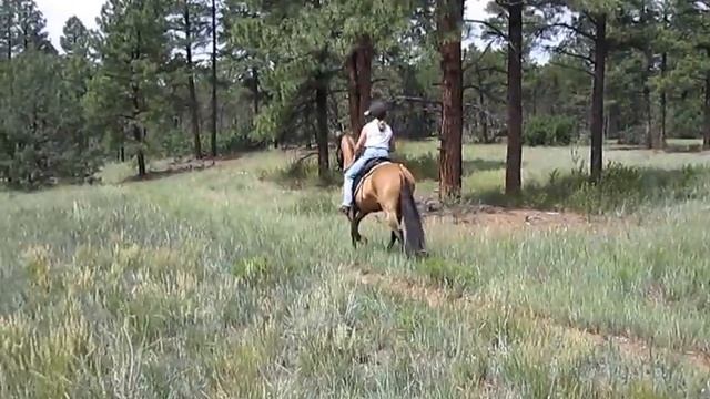Monte - Oak Flats (Paso Fino) смотреть онлайн