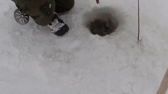 В гостях в Новобураново, зимняя рыбалка-копалка, вода из родника и кошка-проказница! смотреть онлайн