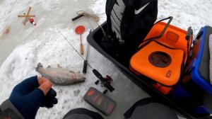 Ловля форели зимой на платнике Рыбацкий Кордон