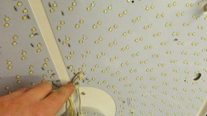 Замена оригинального блока Arion-100 на Китайский аналог