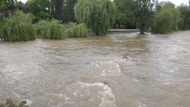 Симферополь.Полноводный Салгир🌊💦🌿🦆🌳 смотреть онлайн