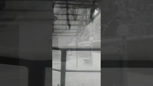 Навес на две машины