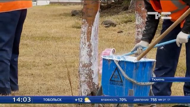 На Цветном бульваре проводят генеральную уборку смотреть онлайн