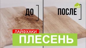 Как избавиться от плесени. Удаление плесени со стен и поверхностей! Лайфхаки