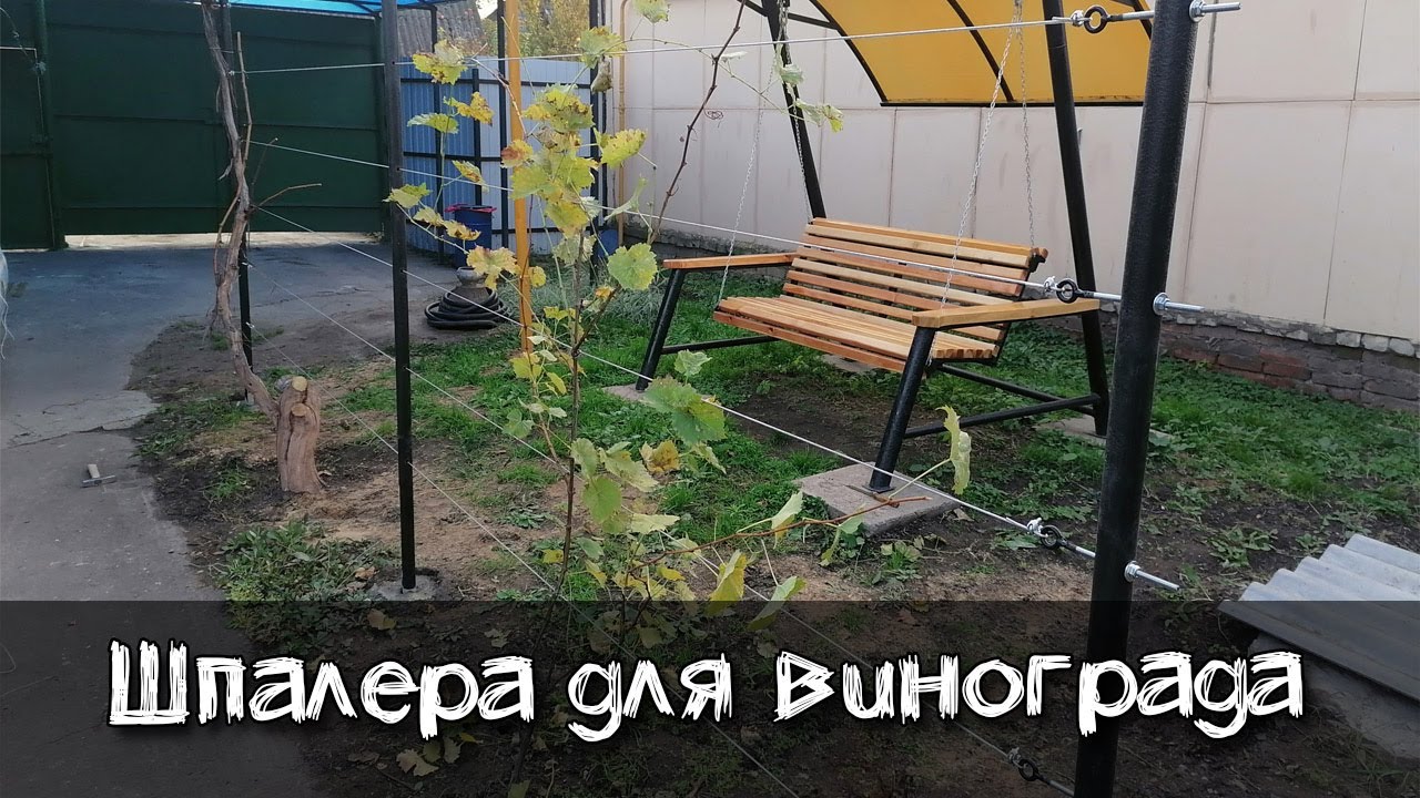 Простая шпалера для винограда своими руками смотреть онлайн