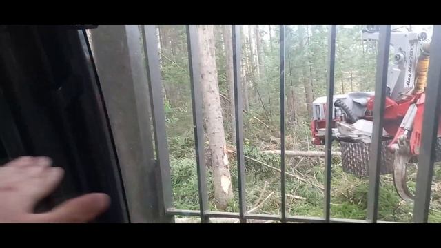 (?Там где предки На лыжах катались)Заготовка на косогорье (2)? смотреть онлайн