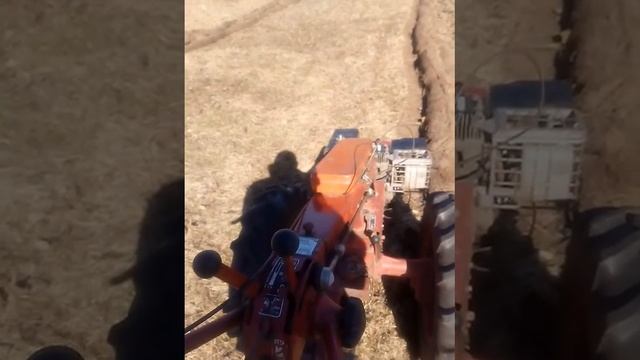 МТЗ 09н весенняя вспашка целины смотреть онлайн