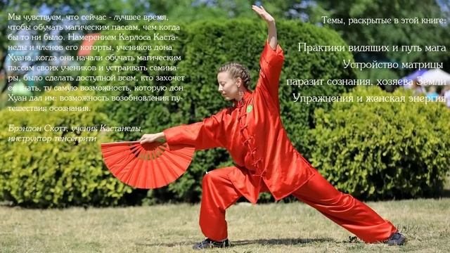 Книга "На пути к безупречности. О чем не сказал Кастанеда" смотреть онлайн