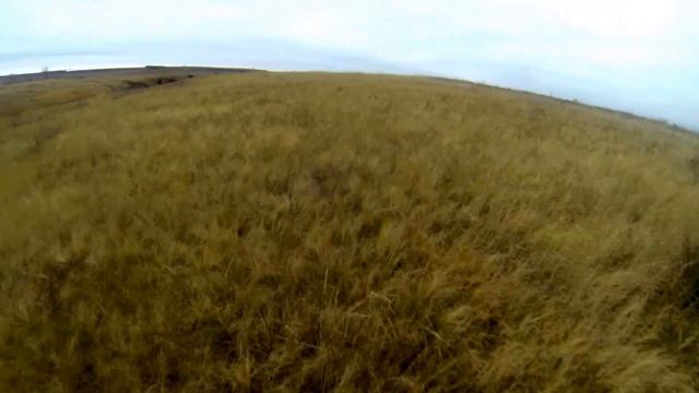 По чернотропу смотреть онлайн