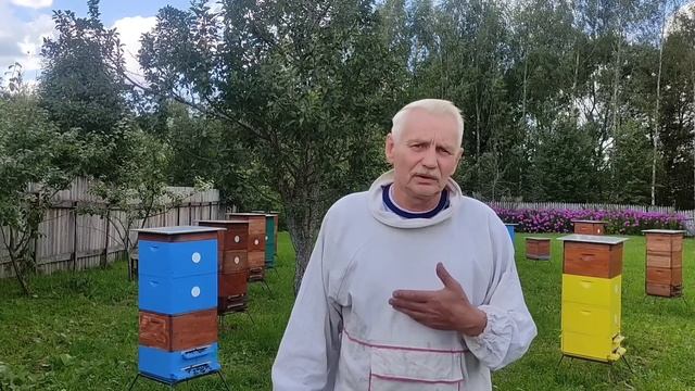 Пасека. 5 августа 2023 года. Главная работа в августе. смотреть онлайн