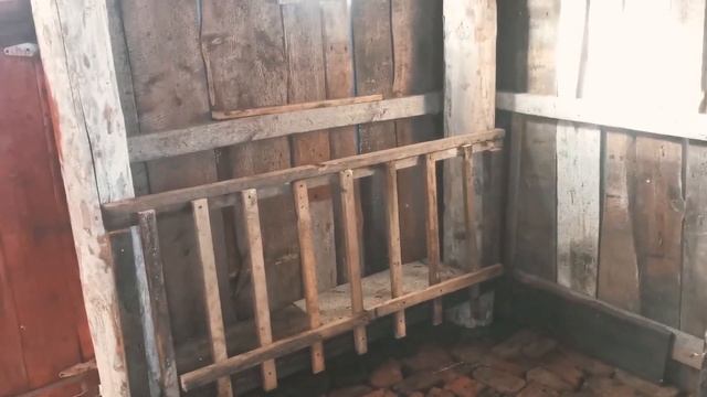 Какие яйца несут куры несушки? смотреть онлайн