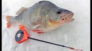 Как привязать безмотылку правильно