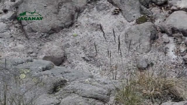 Легенды Южного Урала. 3. Легенда о происхождении эха смотреть онлайн