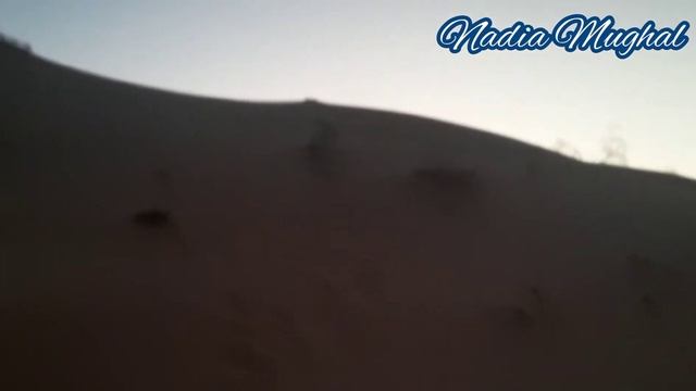 Dubai Adventure & Arabian Desert | Dubai Desert смотреть онлайн