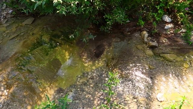 ОТДЫХ В КАБАРДИНКЕ / КАБАРДИНКА 2021/ СУХОГРУЗ РИО/ ОТДЫХ В КАБАРДИНКЕ 2021 смотреть онлайн