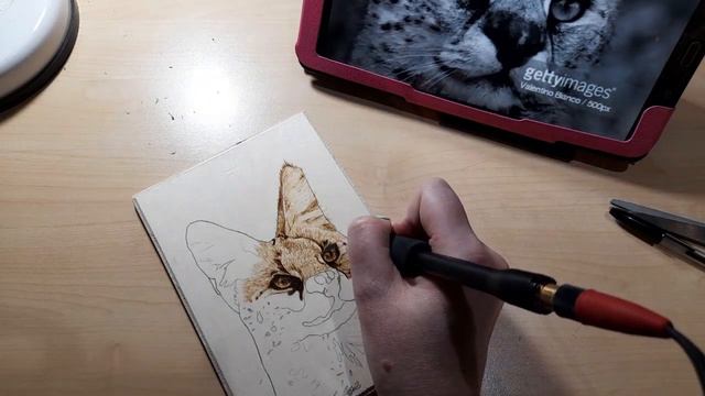 Serval pyrography portrait смотреть онлайн
