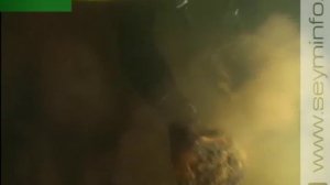В поисках затонувших кораблей и сокровищ