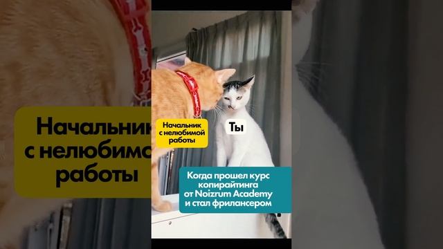 Возьми уже себя в лапки и поменяй работу! смотреть онлайн