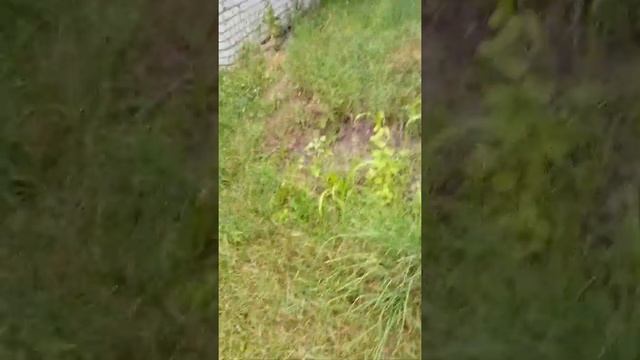 дружба часть 167 ищу друзей смотреть онлайн