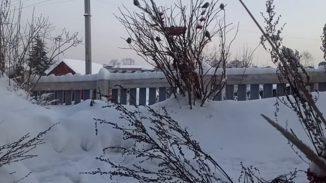 Видит око, да зуб неймёт? смотреть онлайн