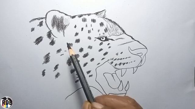 How To Draw a Leopard | drawing Sketch Tutorial смотреть онлайн